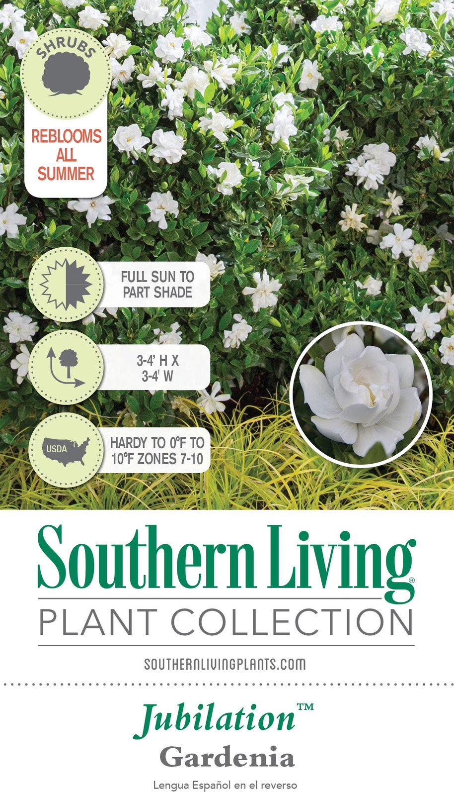 Jubilation Gardenia Live Shrub in 2.5-Quart Grower Pot
