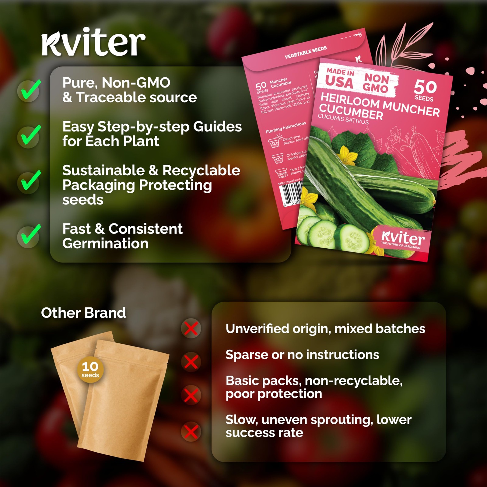 KVITER 50 Muncher Cucumber seeds (Cucumis sativus)