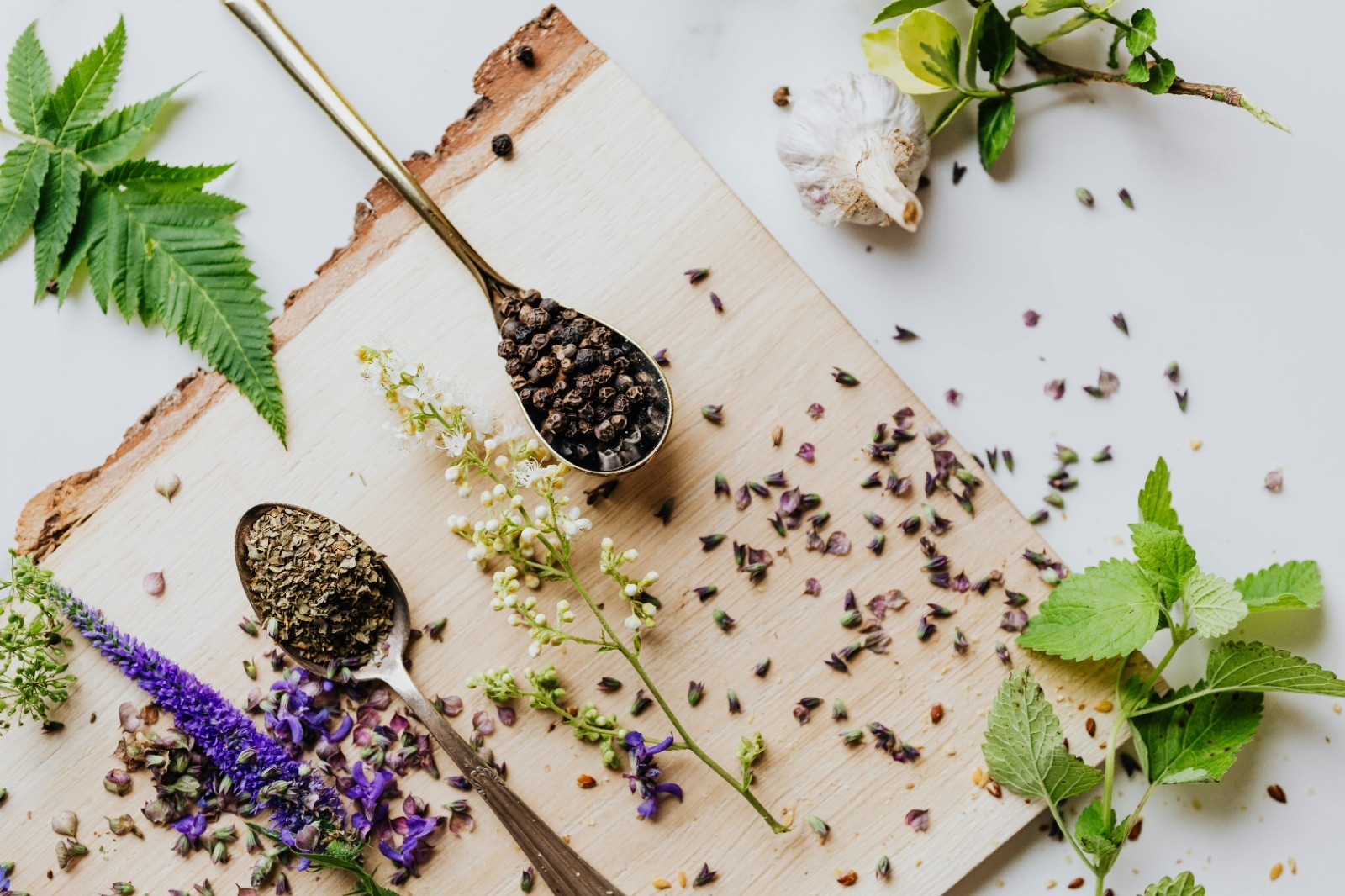 Hyssop Seeds (Hyssopus officinalis) – 2g Pack, Approx. 1800 Seeds