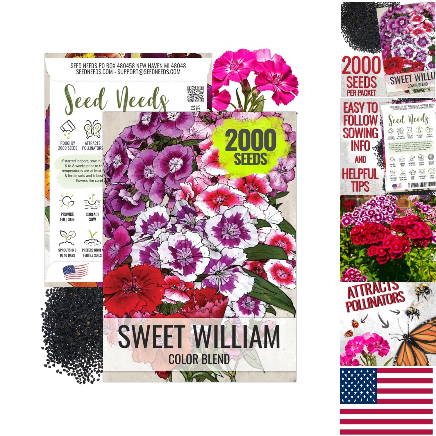 Heirloom Sweet William Seeds – Colorful Dianthus for Vibrant Butterfly Gardens