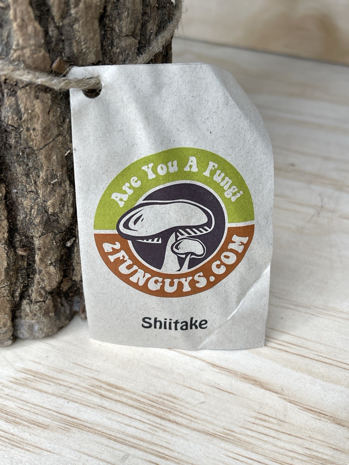 2FUNGUYS 12” MUSHROOM LOG shiitake Brand new never used