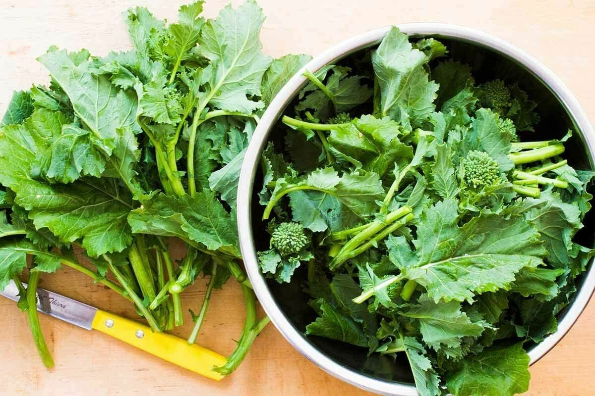 Broccoli Raab, Rapini Seeds, ,”COOL BEANS N SPROUTS” Brand. Home Gardening.