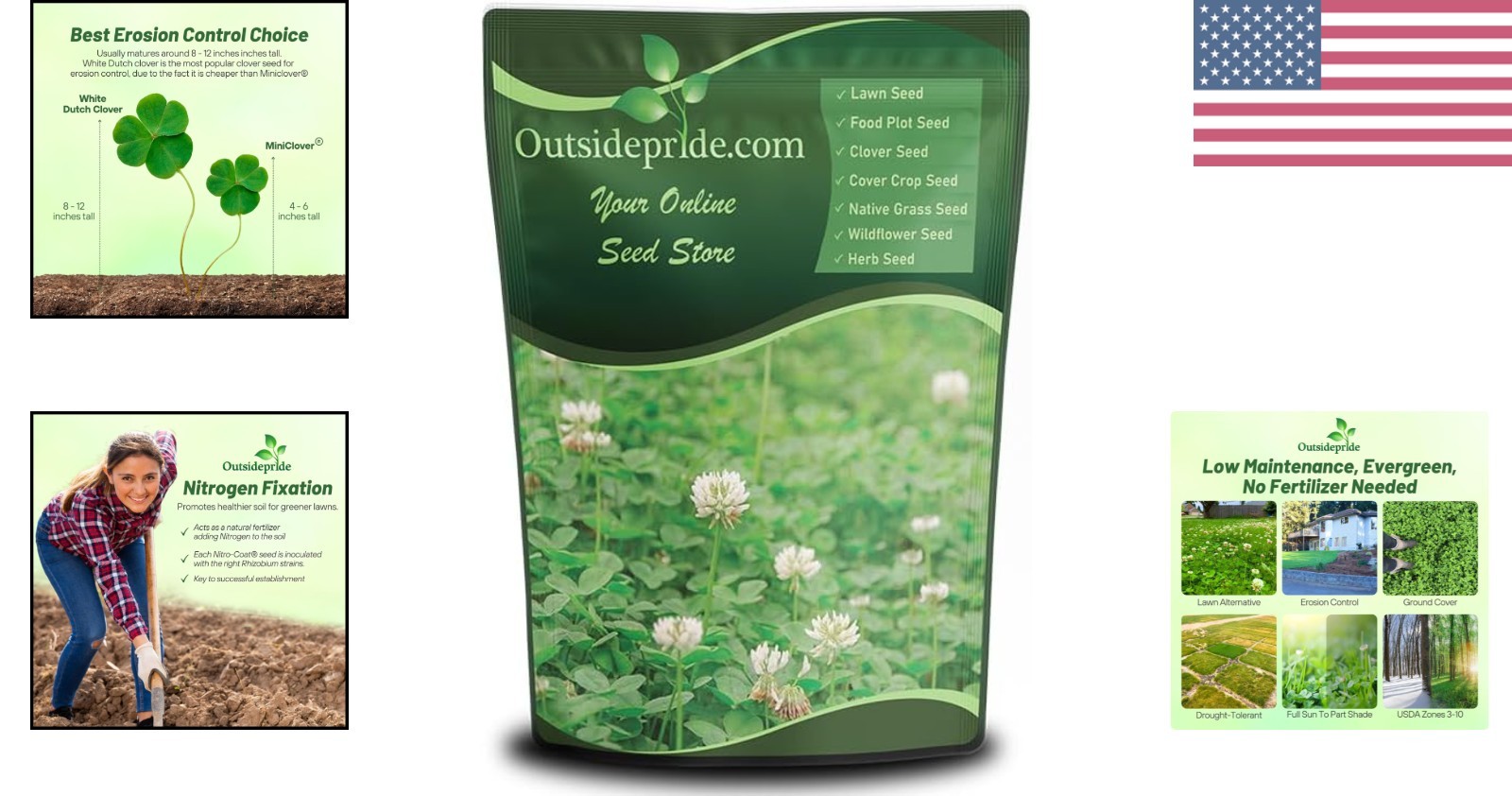 Attractive 2 lbs White Dutch Clover Seed for Lawn Alternatives & Ground Cover