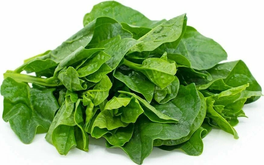 Malabar Spinach, Basella Alba, Pui Shaak, পুঁই শাক – Thick Leaves – 100 Seeds