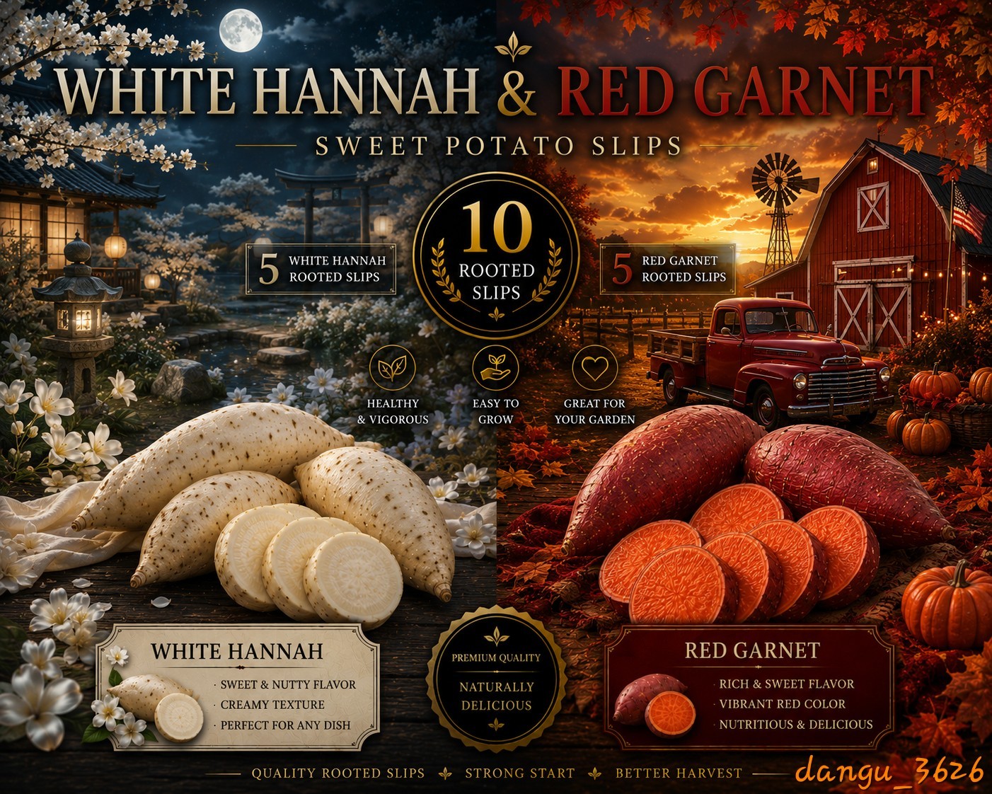 White Hannah x Red Garnet Yam Rooted Slips Premium Rare Variety Pack – 10 Total