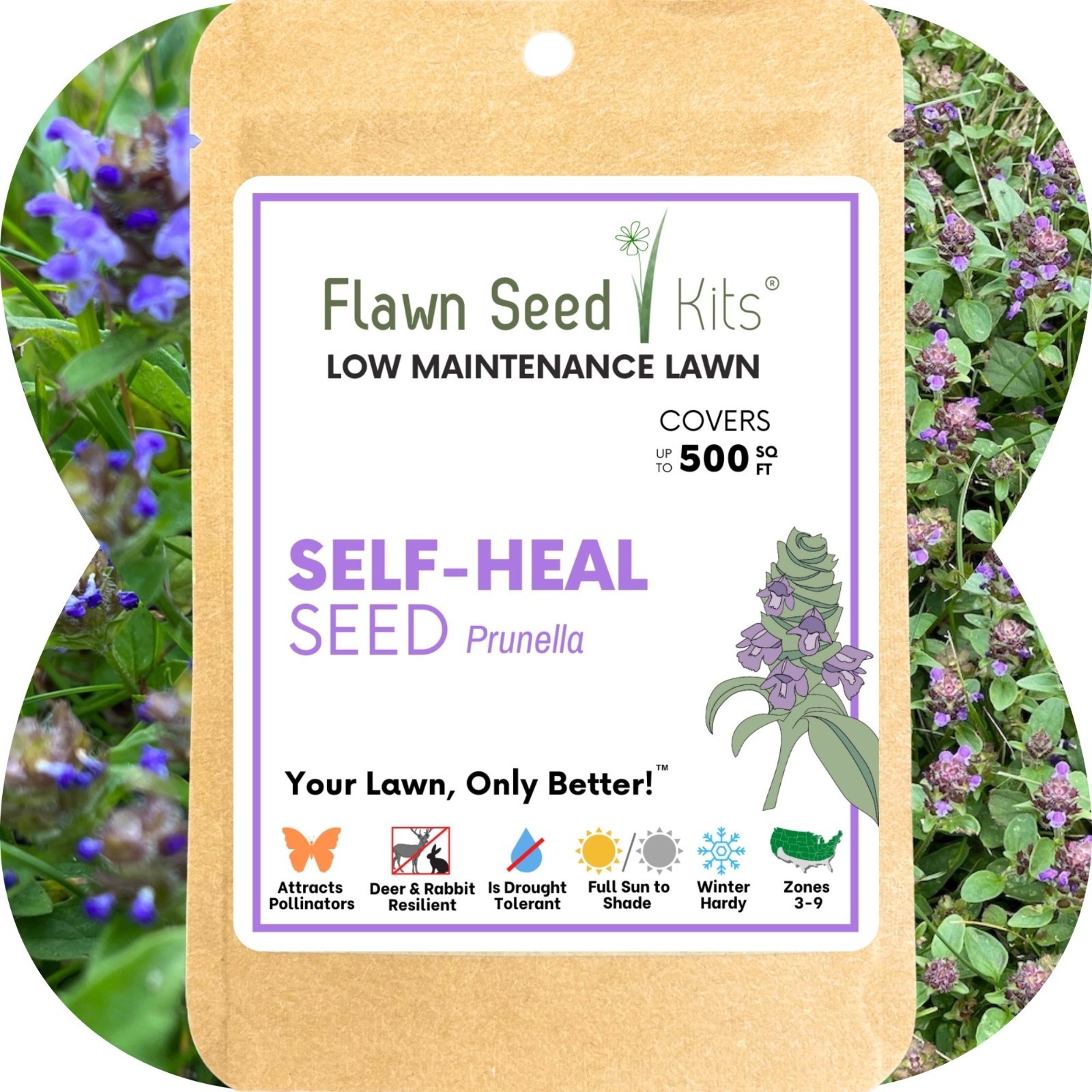 Flawn Seed Kits Self-Heal Prunella Seed, Non-GMO, Native, Blooming Lawn