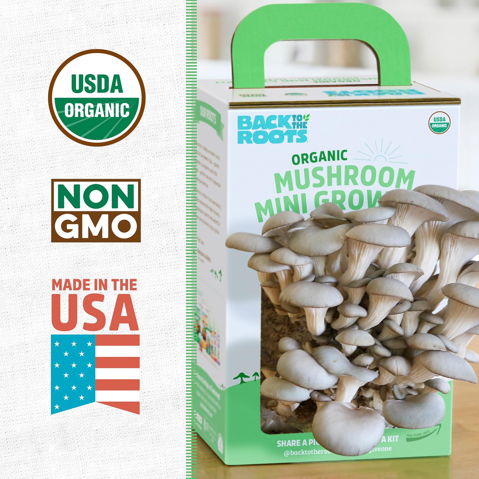 Back to the Roots Organic Mini Mushroom Grow Kit, Harvest Gourmet Oyster
