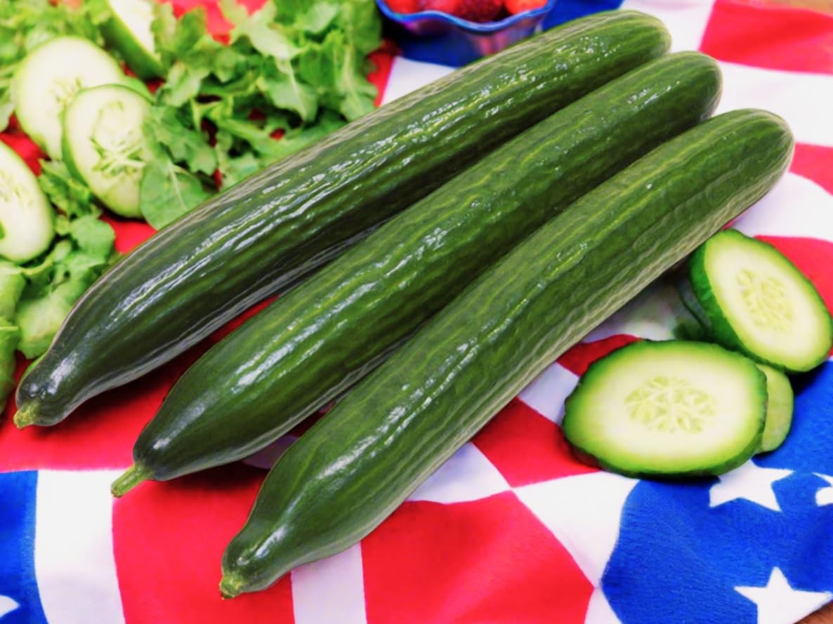 TomorrowSeeds English Telegraph Improved Burpless Cucumber English Cucumber …
