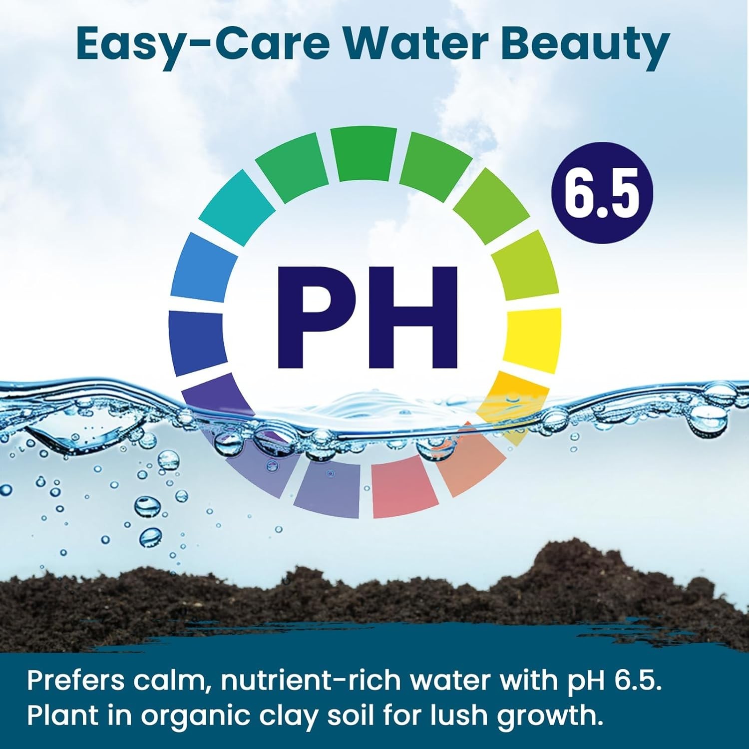 Lotus Seeds for Planting in Water | 30 PCS Mixed Color Bowl Lotus Seeds for Indo