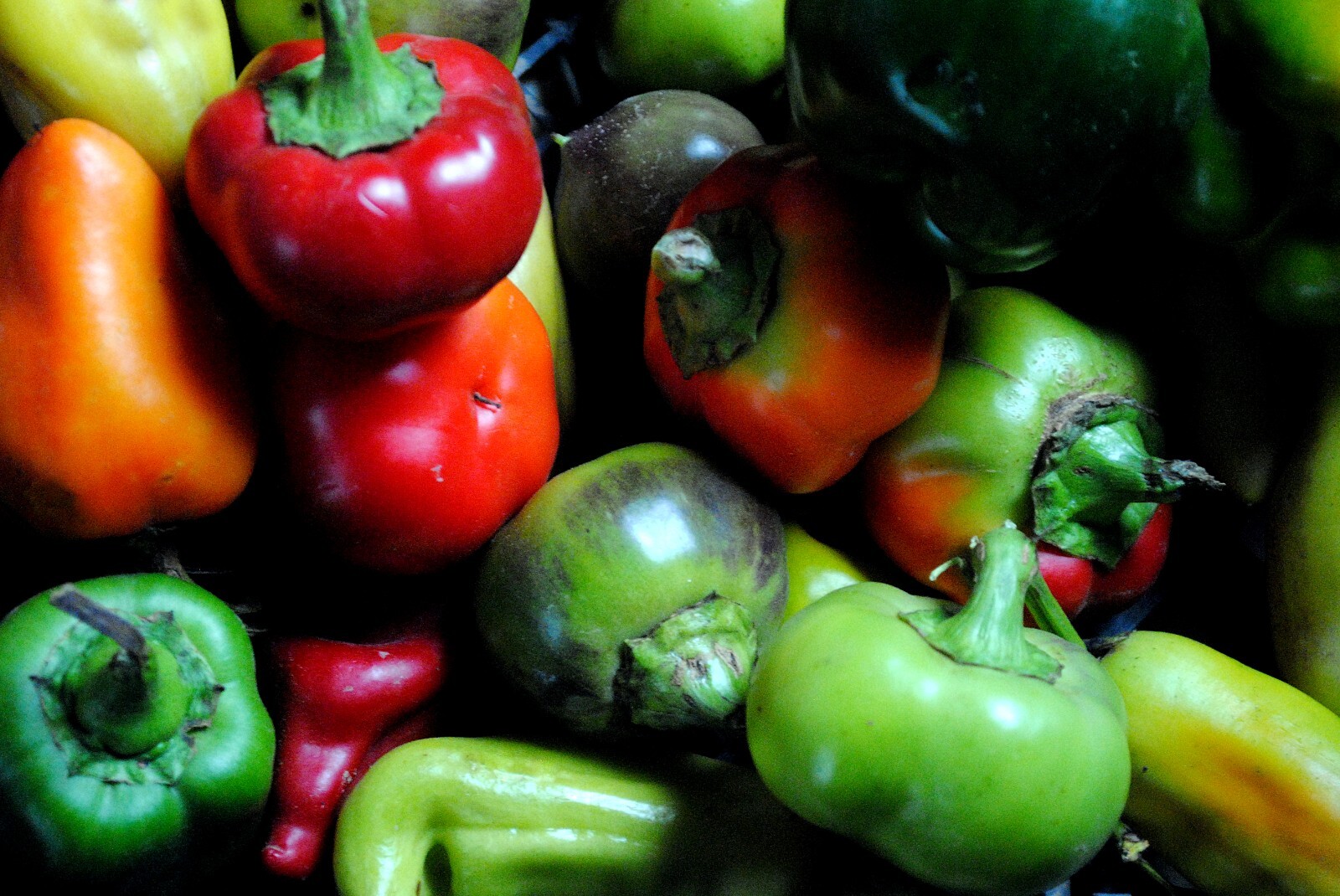 Pepper Seeds- Alma Paprika Pepper -10 Heirloom Seeds – All Natural