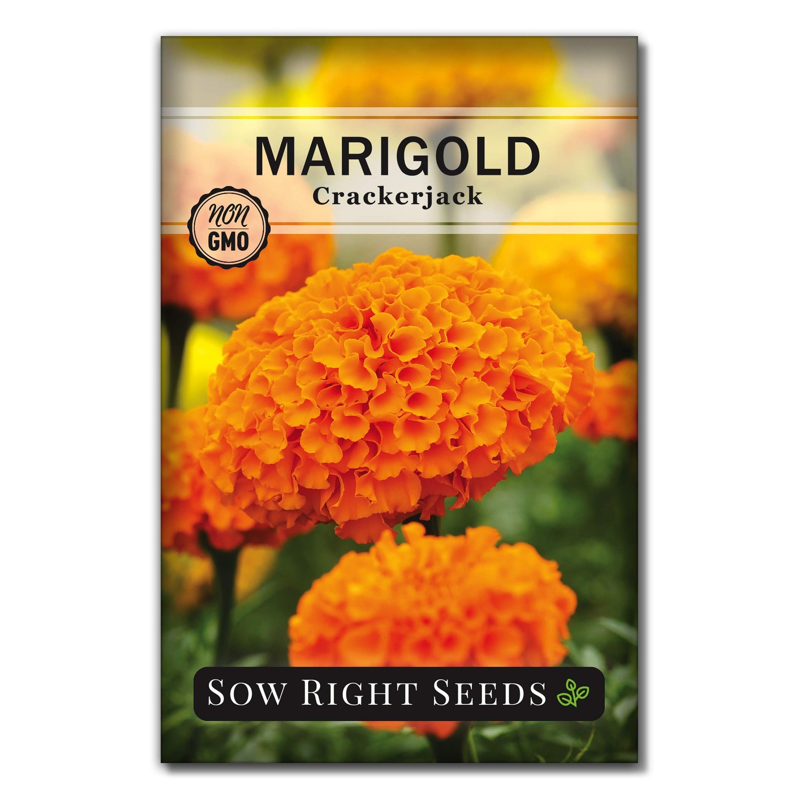 Sow Right Seeds – Crackerjack Marigold for Planting Outdoors 1, yellow