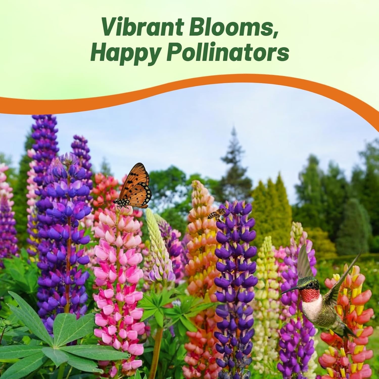 Deer-Resistant Perennial Wildflowers – 1 Lb.