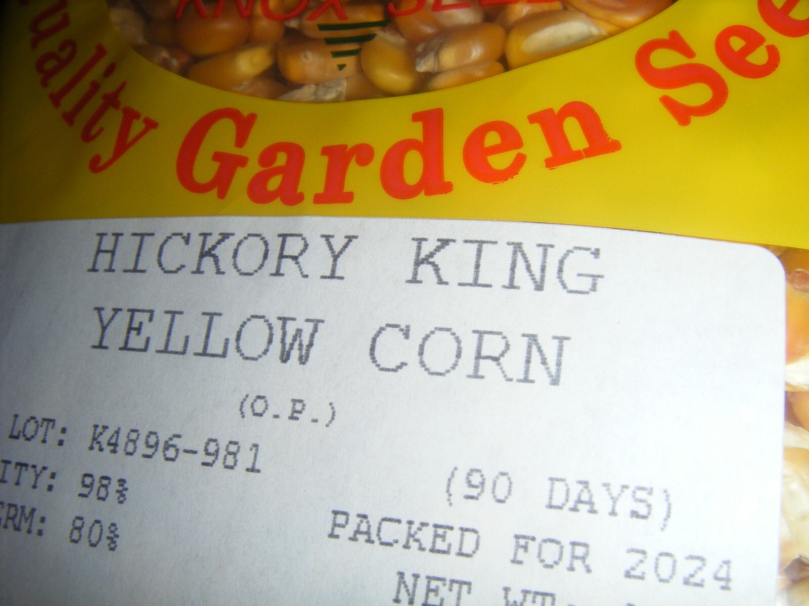 400 Hickory King Yellow Heirloom Corn Seeds Roasting Ears Grow in Yard or Garden