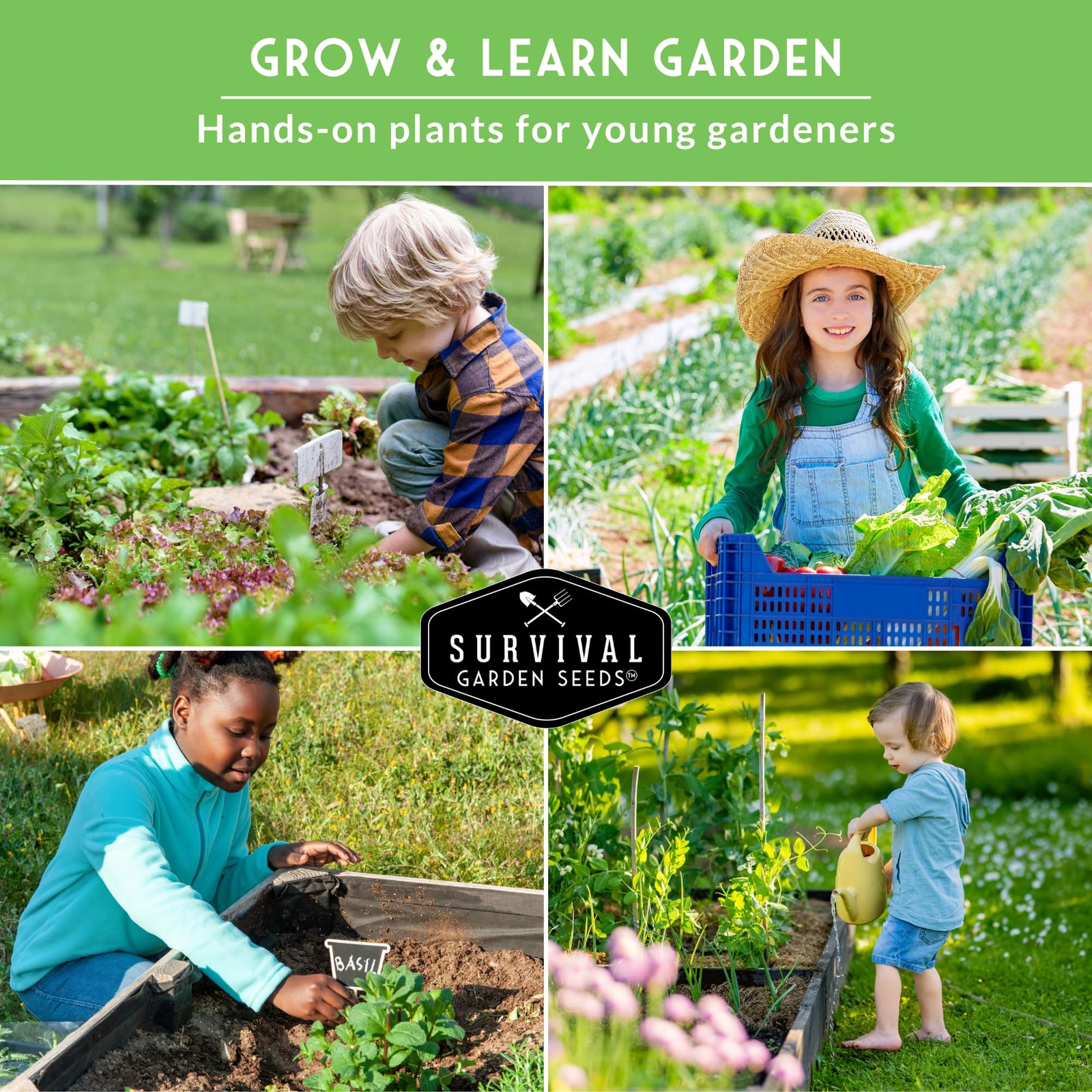 Survival Garden Seeds Kids’ Easy Collection – Cucumber, Multicolor