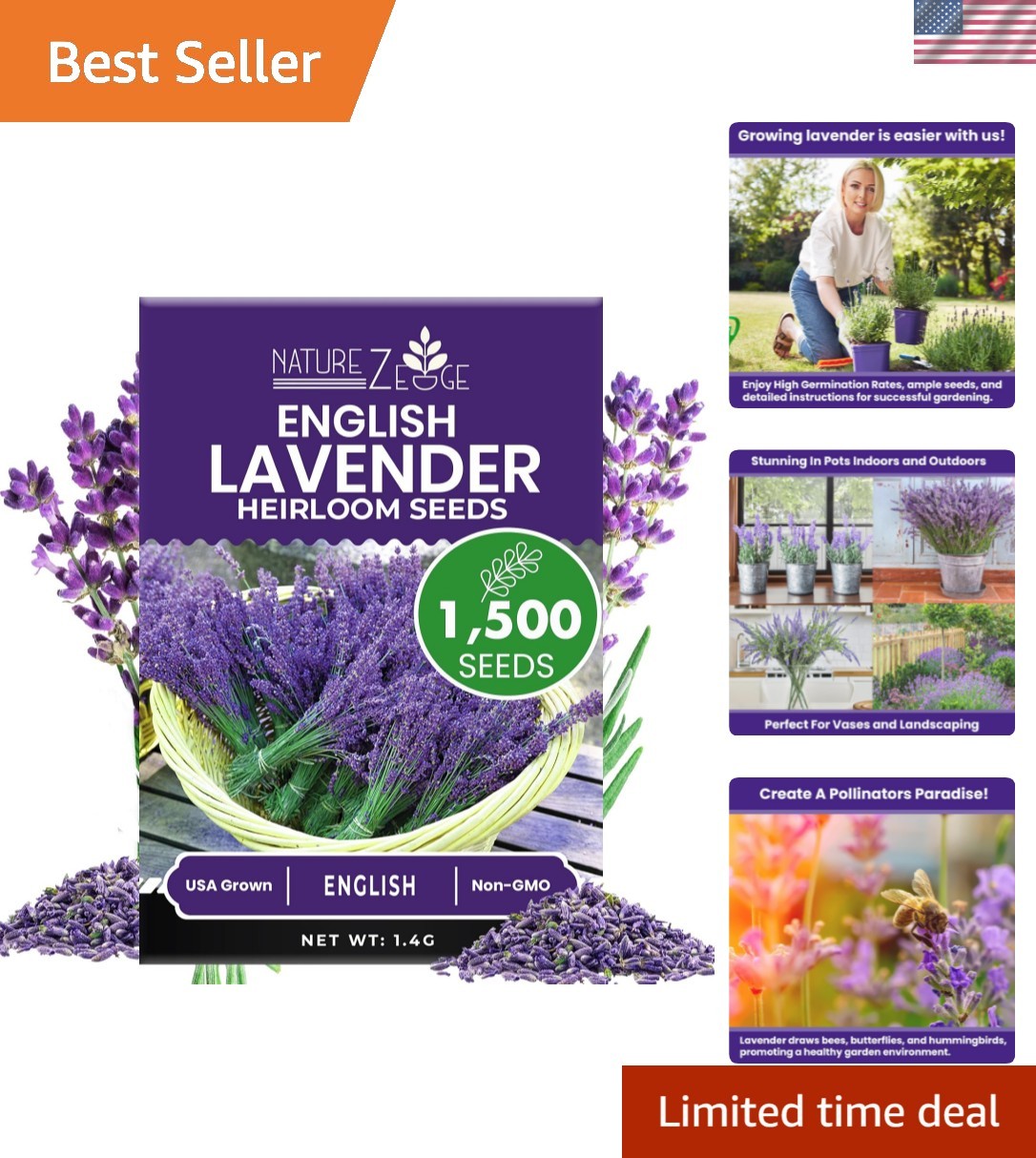 1500 English Lavender Seeds for Planting Outdoors or Indoors, 90% Germination…