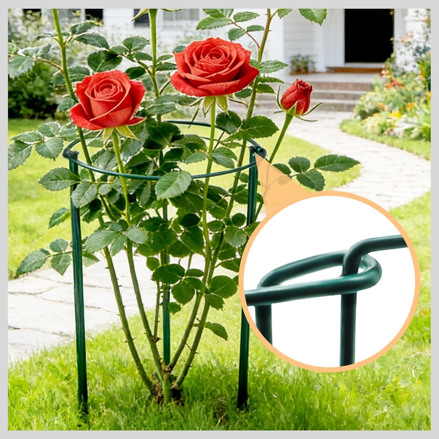 16″ Plant Supports for Outdoor & Indoor