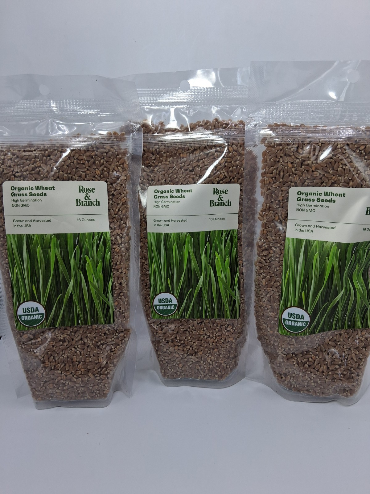 Rose & Branch Organic Wheat Grass Seeds – Cat Grass Seeds – 16Ounces – 100% O…