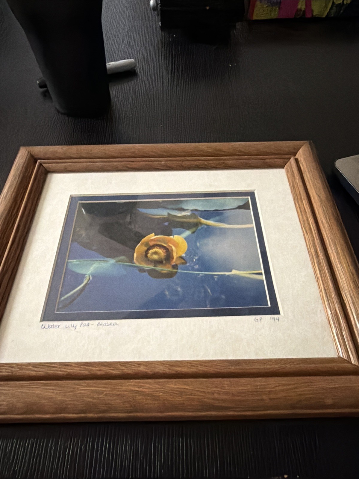 Yellow Water Lily Pad – Alaska GP 94
