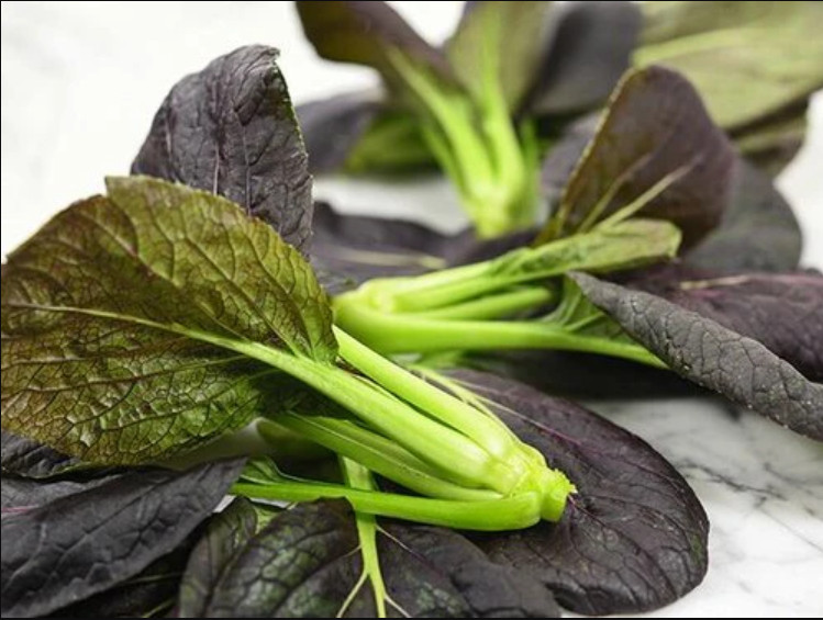 🌱Heirloom Purple Lady Bok Choy 50+ Seeds ✦Great Taste