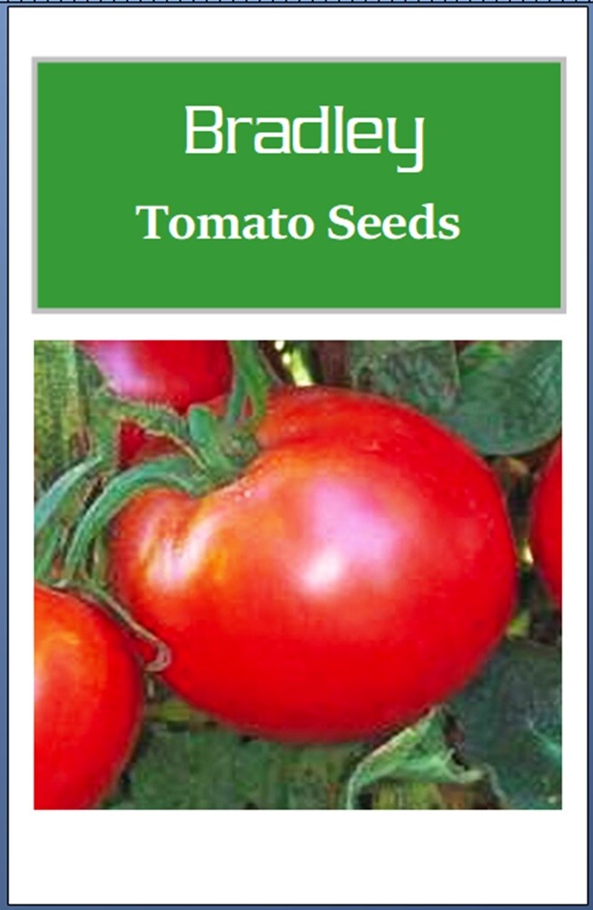 Bradley Tomato Seeds | NON-GMO | Heirloom | Fresh Vegetable Seeds