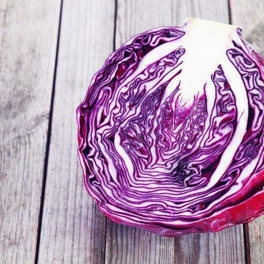 Red Acre Cabbage Seeds, Brassica Oleracea Variety, Non-GMO Seeds, Tracked