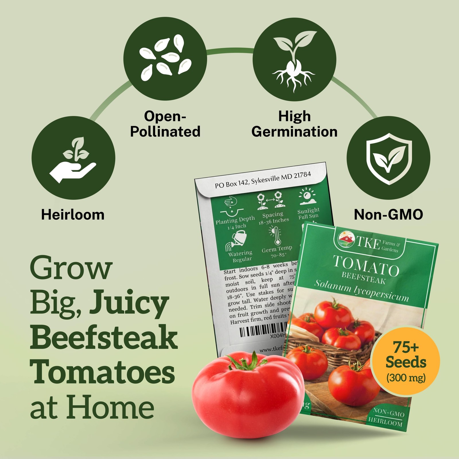 TKE Farms & Gardens – Beefsteak Tomato Seeds for Planting, 75+ Heirloom Red