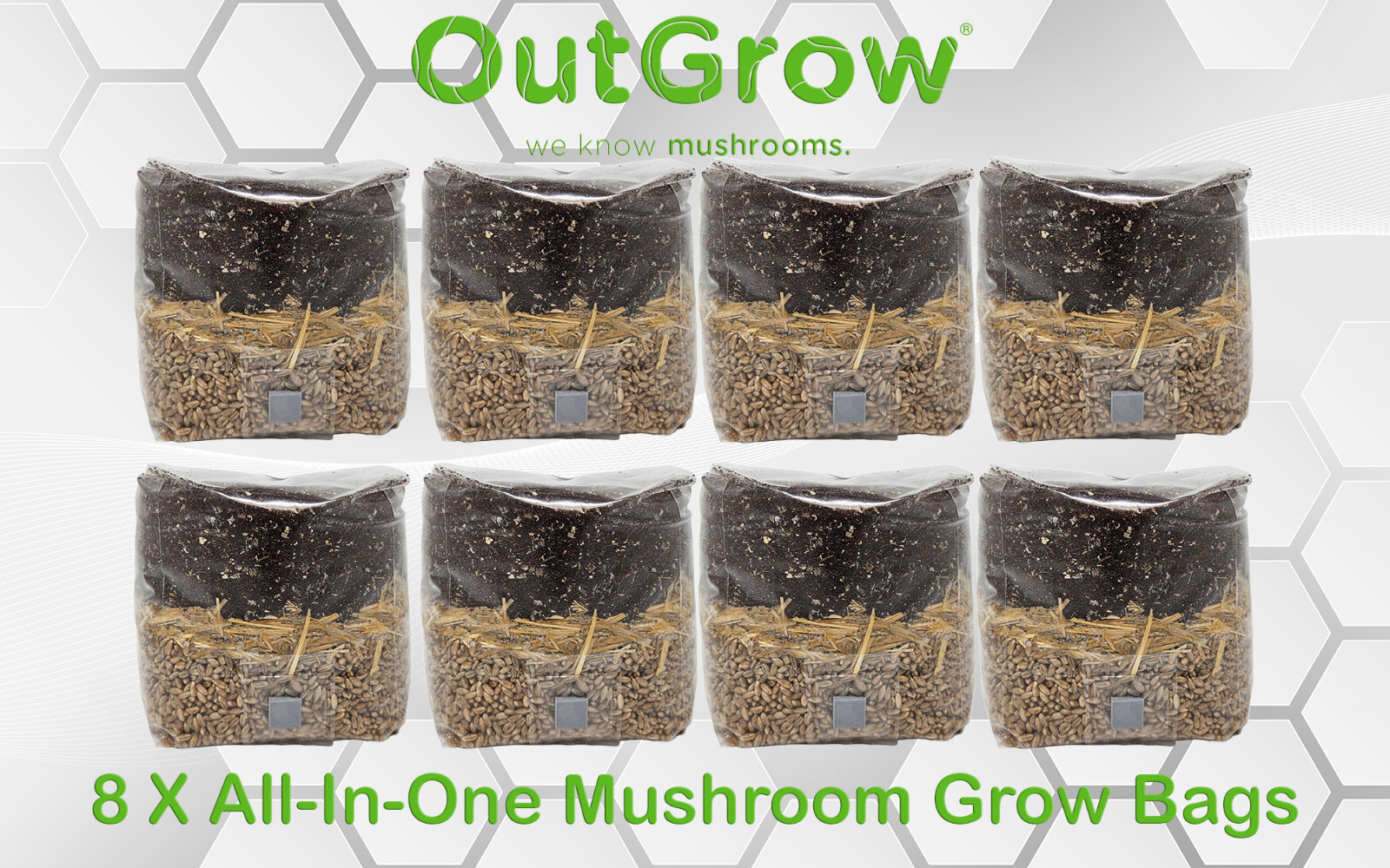 8 X All In One Mushroom Grow Bags
