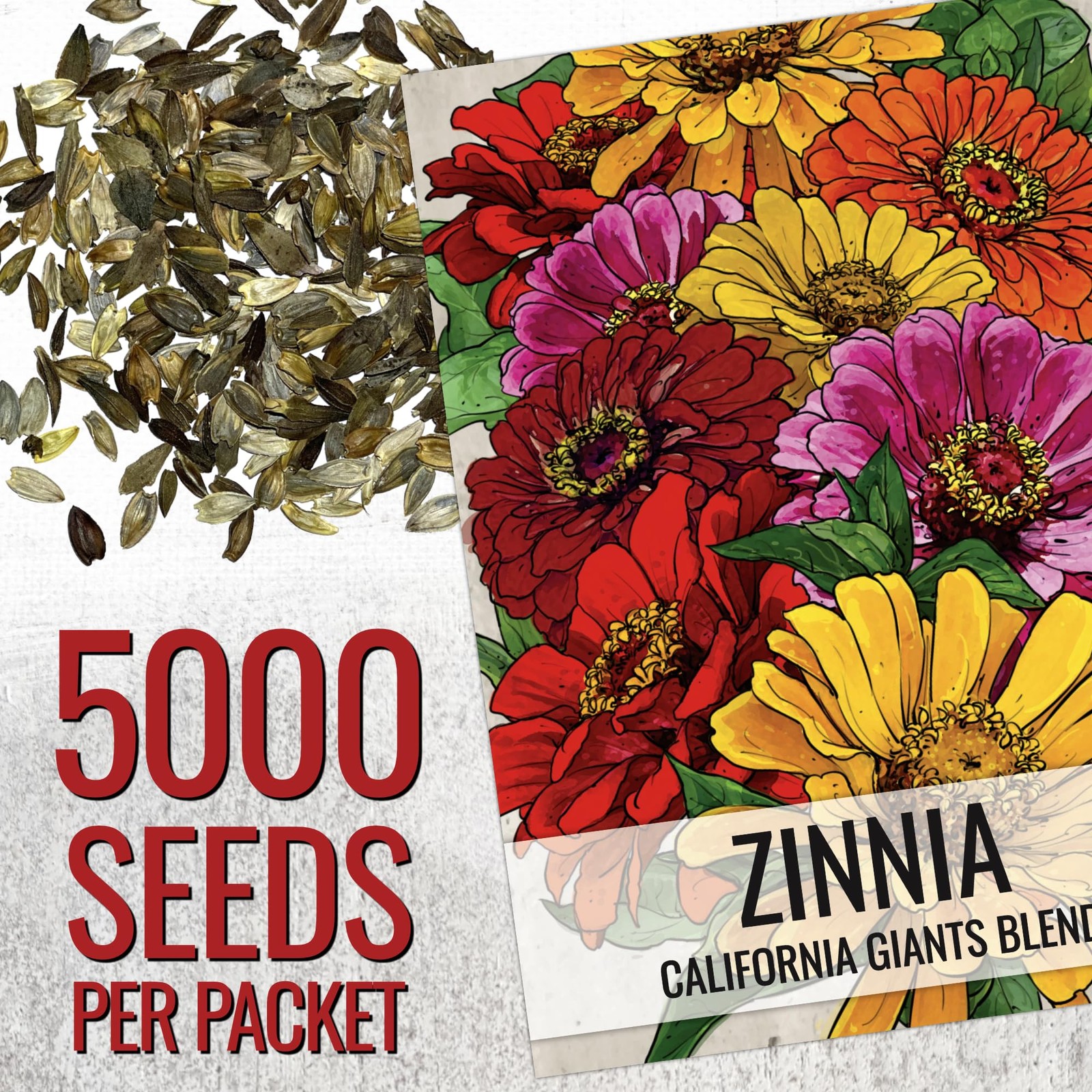 Zinnia Seeds California Giants 5000+ Heirloom Zinnia elegans Bulk Mix Multicolor
