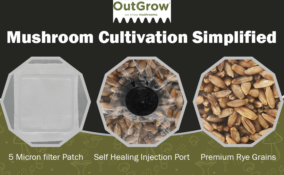 Sterilized Rye Berry Mushroom Substrate (2 one pound bags)