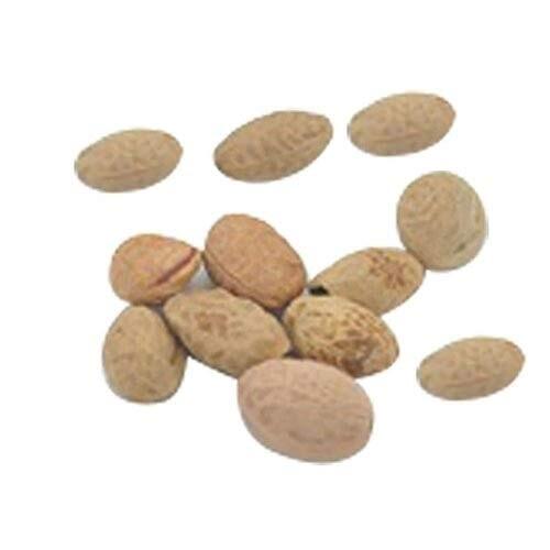 10 Japanese Cherry Blossom Bonsai Seeds – Flowering Sakura Bonsai Seeds