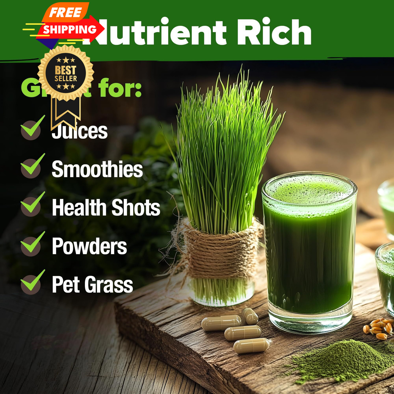 HOME GROWN Hard Red Winter Wheatgrass Seeds 12,000+ Bulk 1.5 lb 1-Pack, Multi