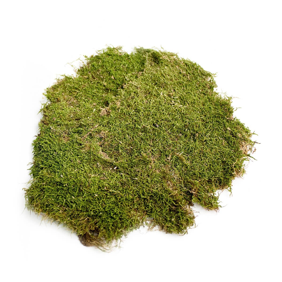 SuperMoss Dried Sheet Moss 1560 Cu In Natural Craft Garden Moss