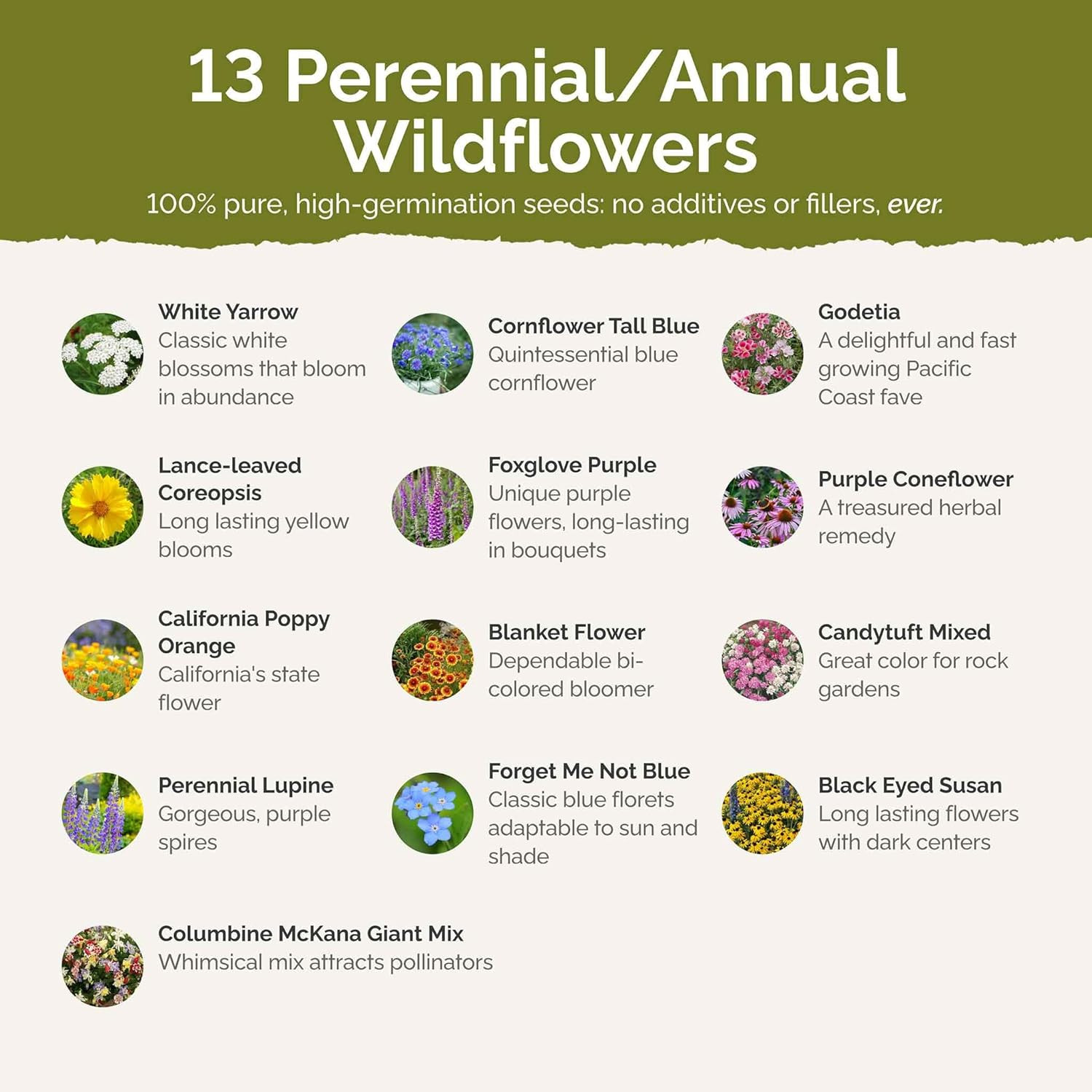 Deer Resistant Wildflower Mixed Seeds for Planting, 1/4 Lb, 120,000+ Seeds with