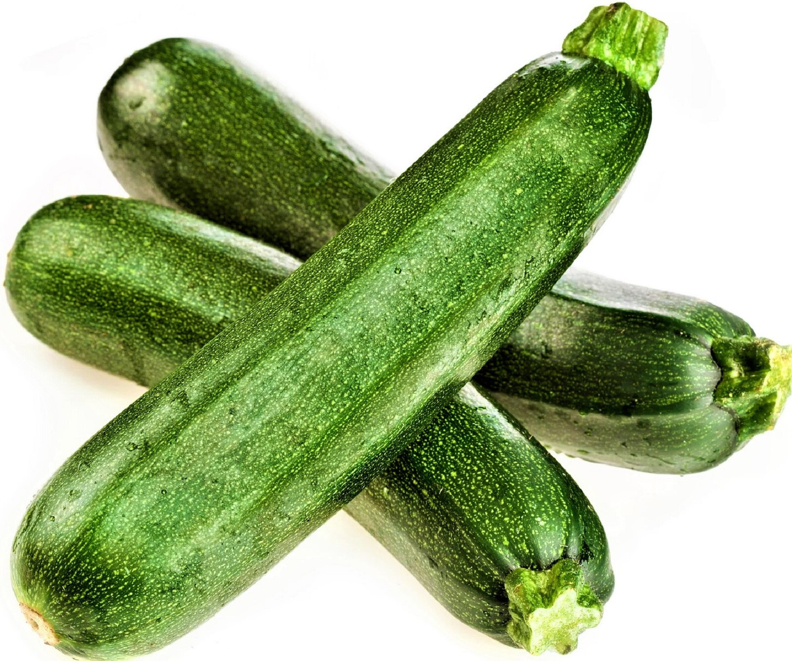 Black Beauty Zucchini Seeds 20 Seeds NON-GMO BUY 4 GET FREE SHIPPING