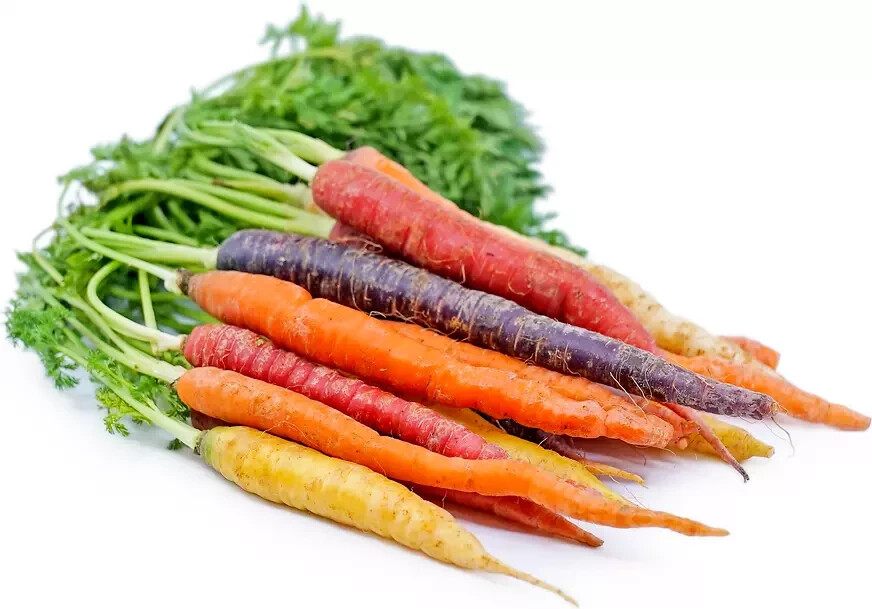25-35 RAINBOW CARROT SEEDS ~ heirloomseedguy ~ 2025 ~ NON-GMO