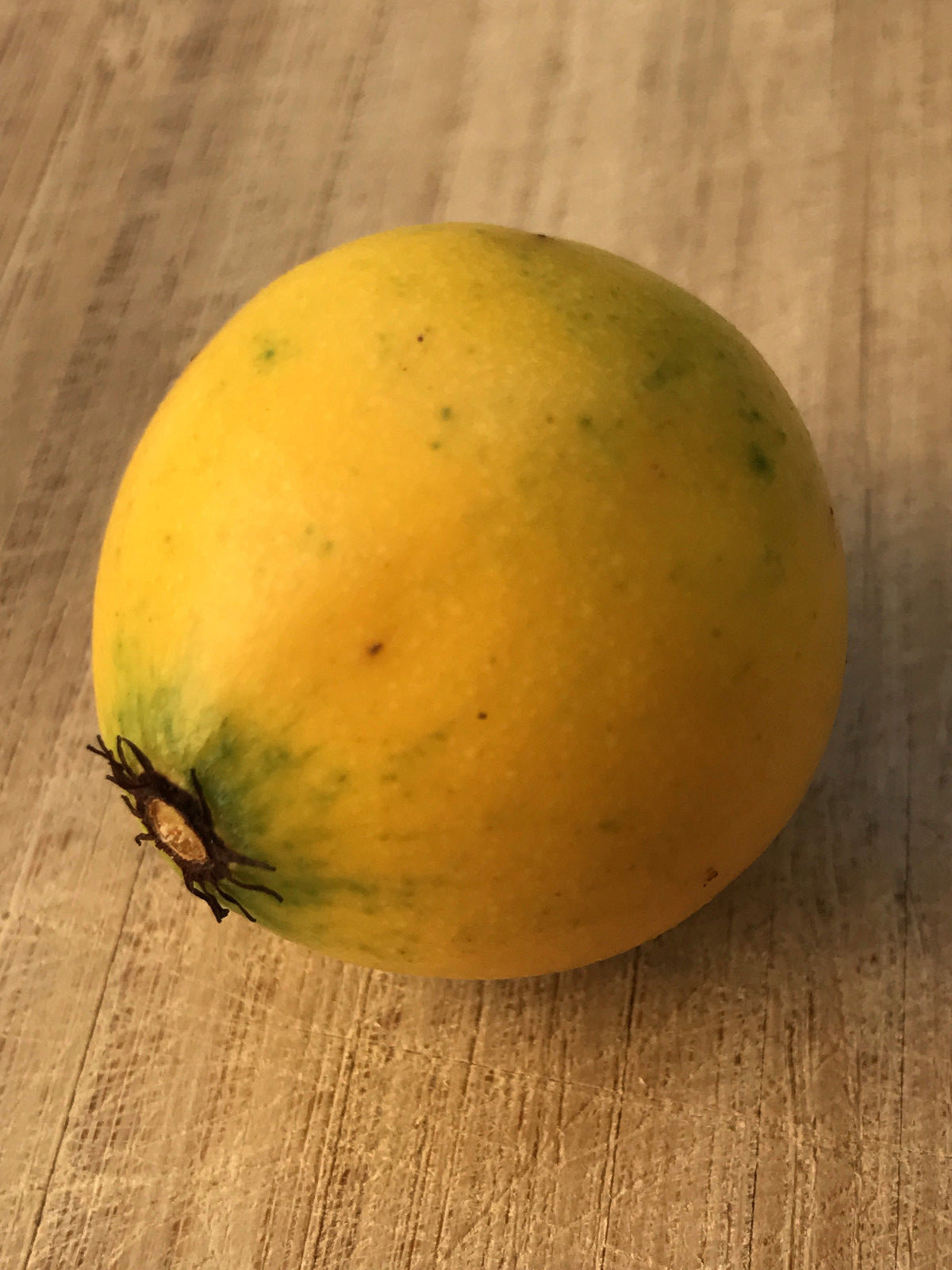 Lemon Drop Mangosteen Garcinia Intermedia Yellow Tropical Fruit Tree Plant