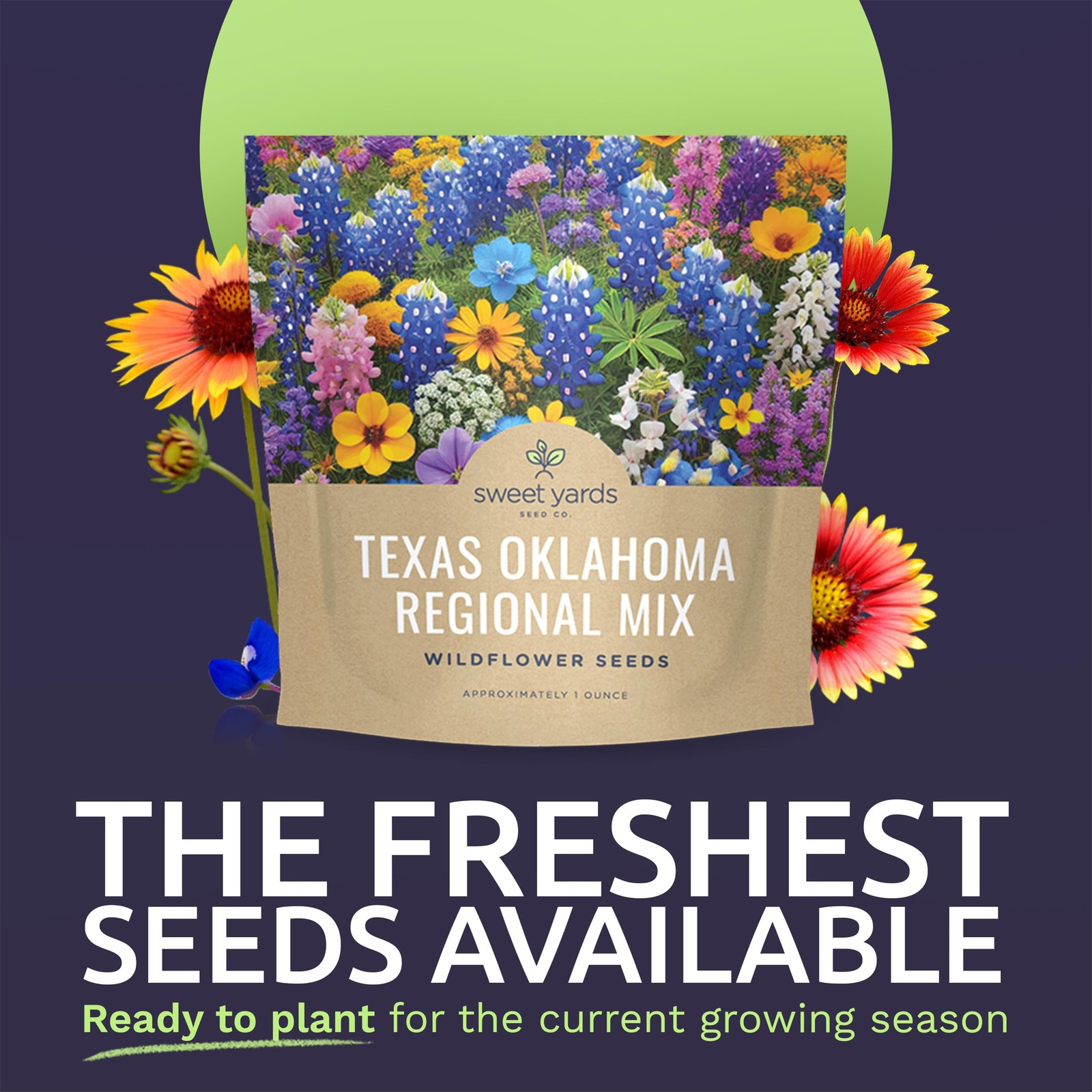 Texas Oklahoma Wildflower Seeds Mixture – Bulk 1 Ounce Packet – Over 15,000 N…