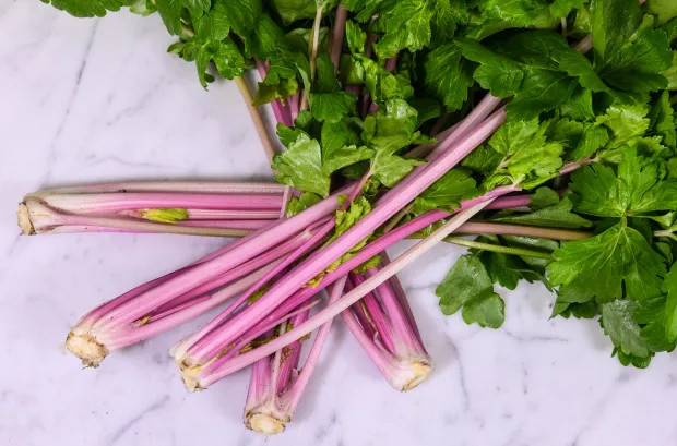 🌱 Heirloom Chinese Pink Celery Seeds 50+