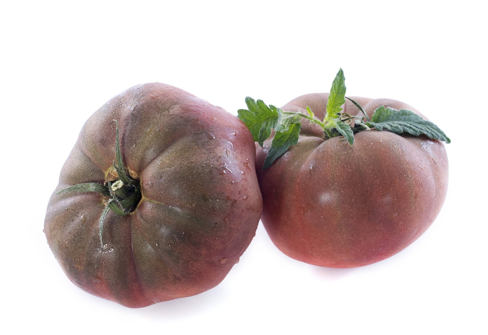 80 BLACK KRIM TOMATO Solanum Lycopersicum Indeterminate Heirloom Beefsteak Seeds