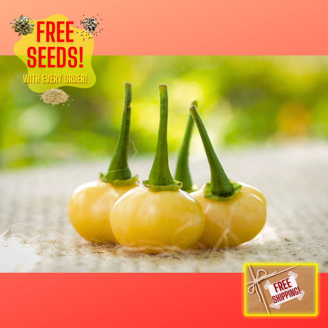 Fresh Hot Peach Charapita Pepper Seeds | Heirloom Non-GMO | 10 Vegetable Seeds