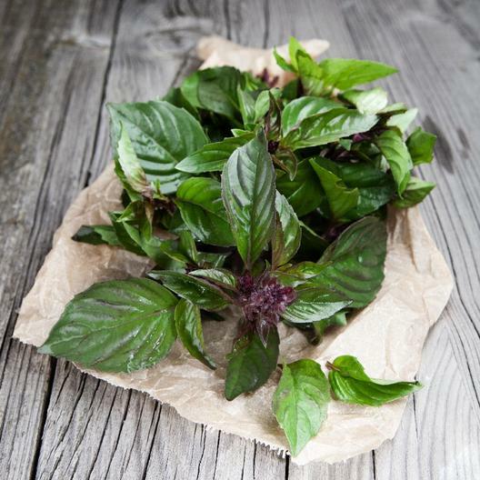 1000 Thai Basil Seeds Ocimum basilicum Herb Non-GMO