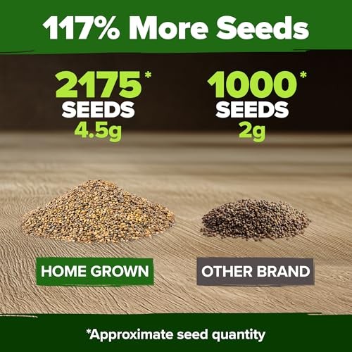 Roquette Seeds Bulk Mix | 2,175+ Heirloom Non-GMO Flower Seed 1-Pack Arugula
