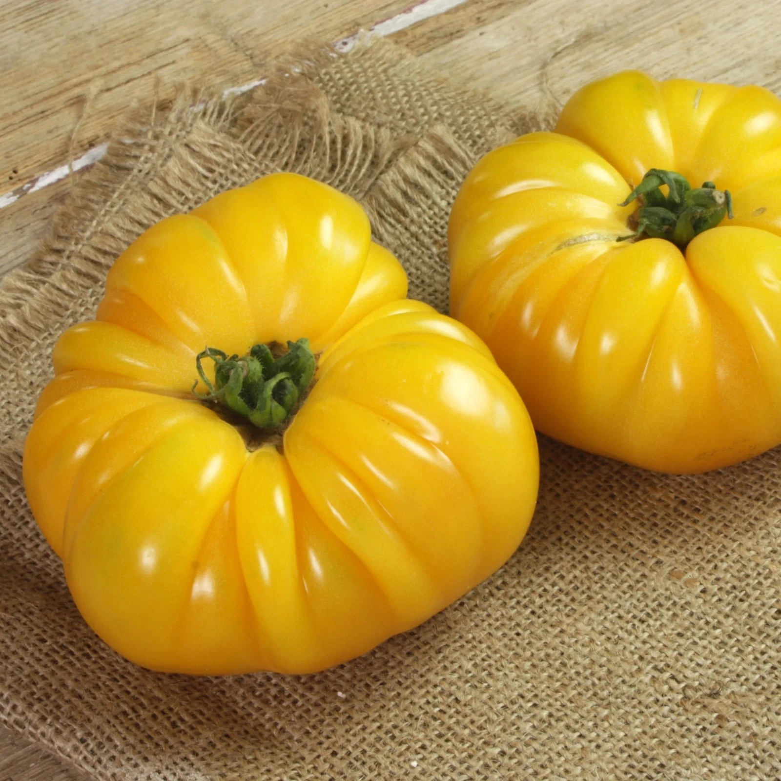 240+ CHEFS CHOICE TOMATO SEEDS — YELLOW — ORGANIC — NON GMO