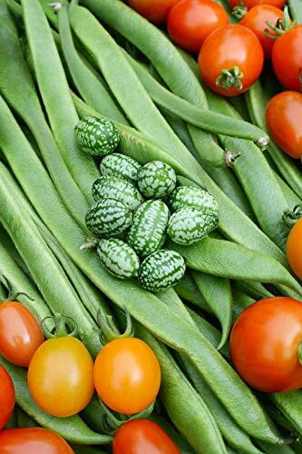 Cucamelon/Mexican Sour Gherkin (Melothria scobra) Seeds – 20 Seeds – Made in USA