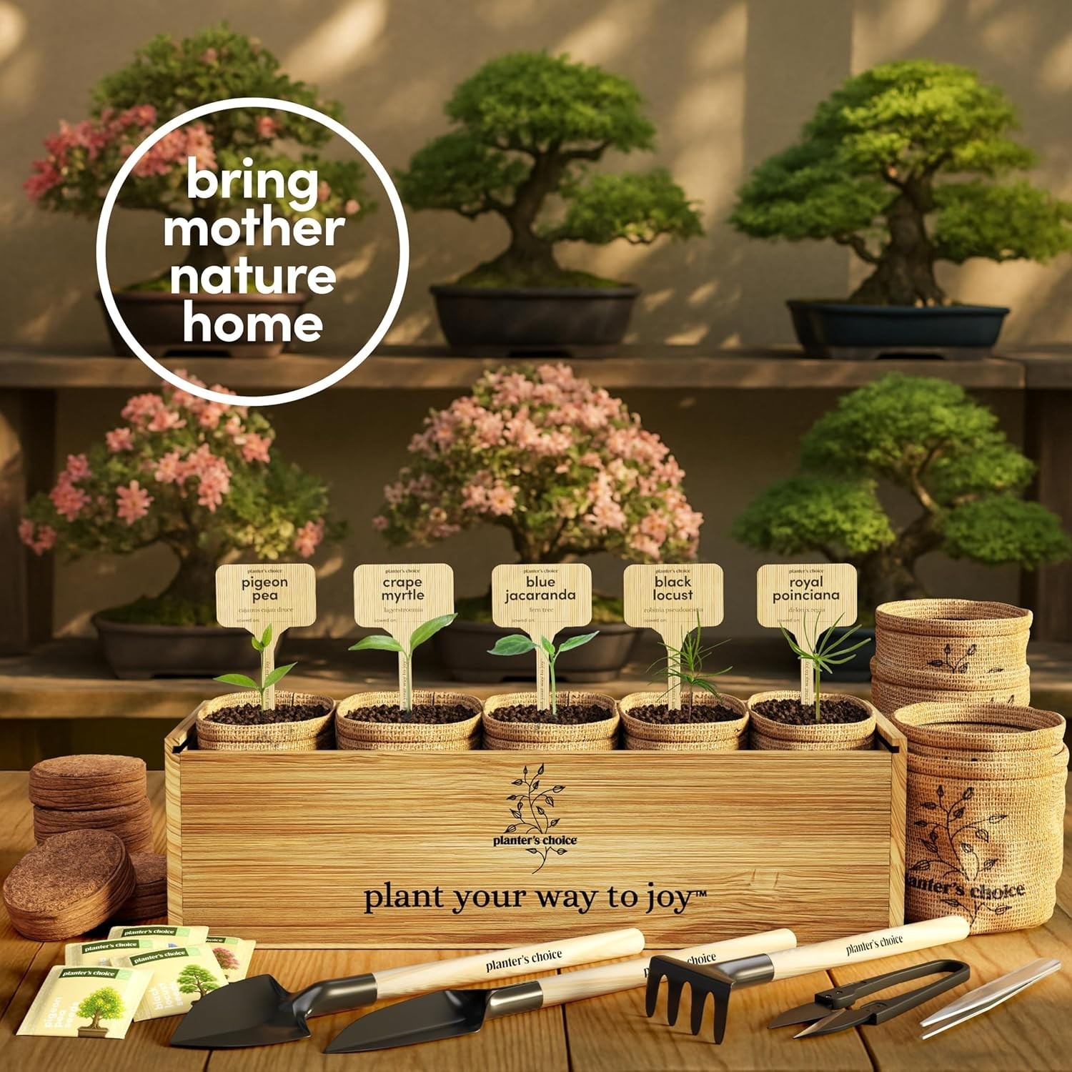 Planter’s Choice Bonsai Starter Kit – 5 Unique Seed Varieties for All Ages