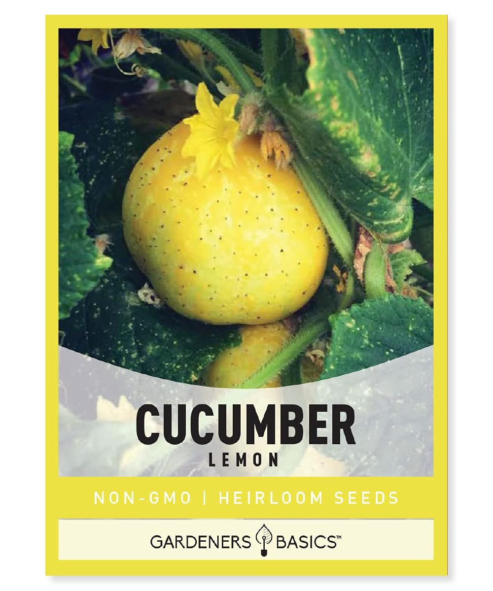 Lemon Cucumber Seeds for Planting (Cucumis sativus) Heirloom, Non-GMO Vegetab…