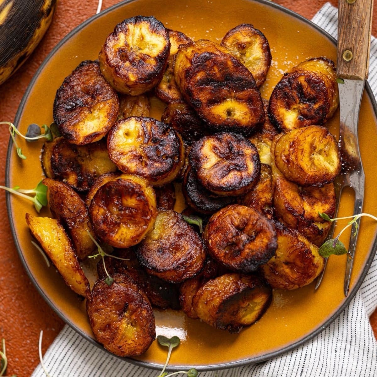 plantain tree From Puerto Rico 🇵🇷