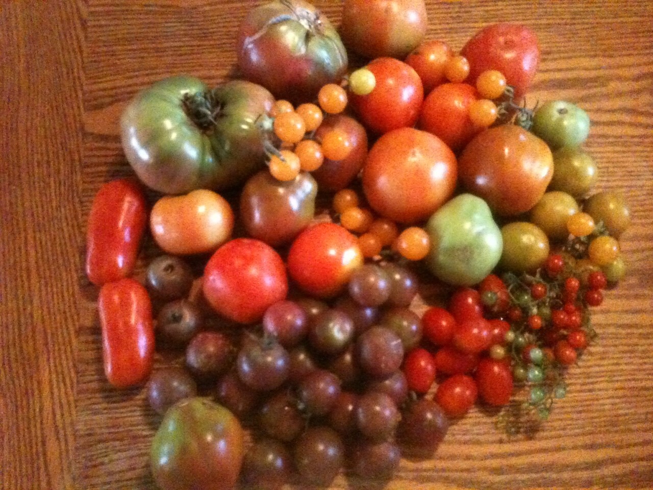1,200,000 Seed Garden/Survival Bucket 1 Million+ NON-GMO, Heirloom Seeds