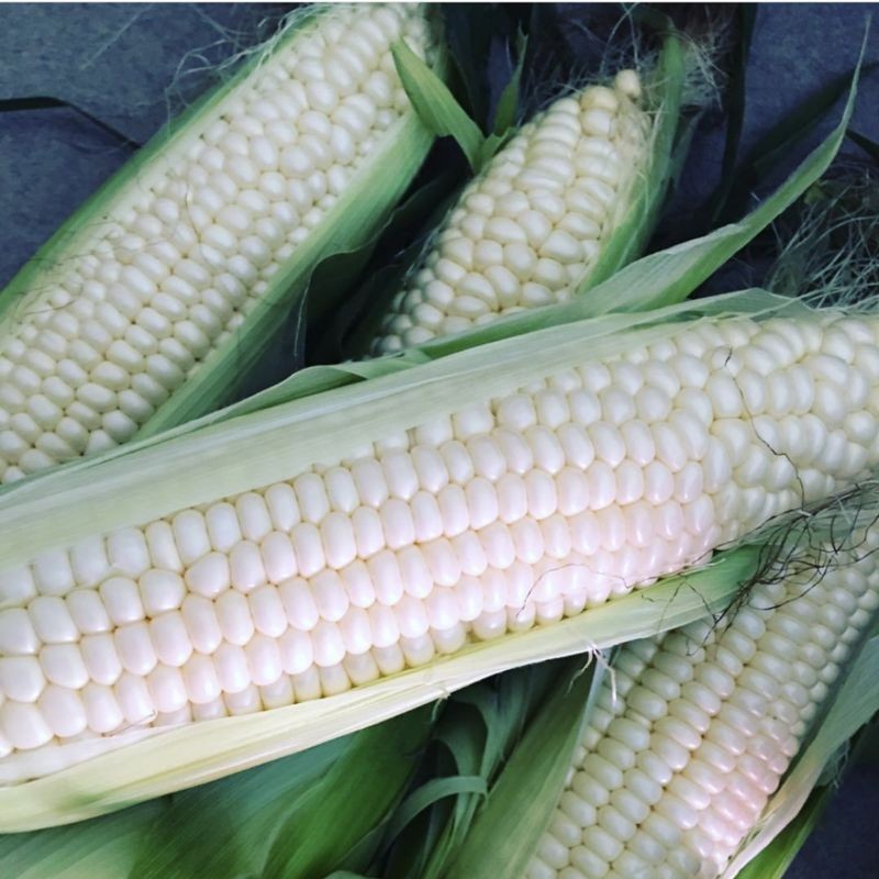 Silver Queen Hybrid White Sweet Corn Seeds Free Shipping!