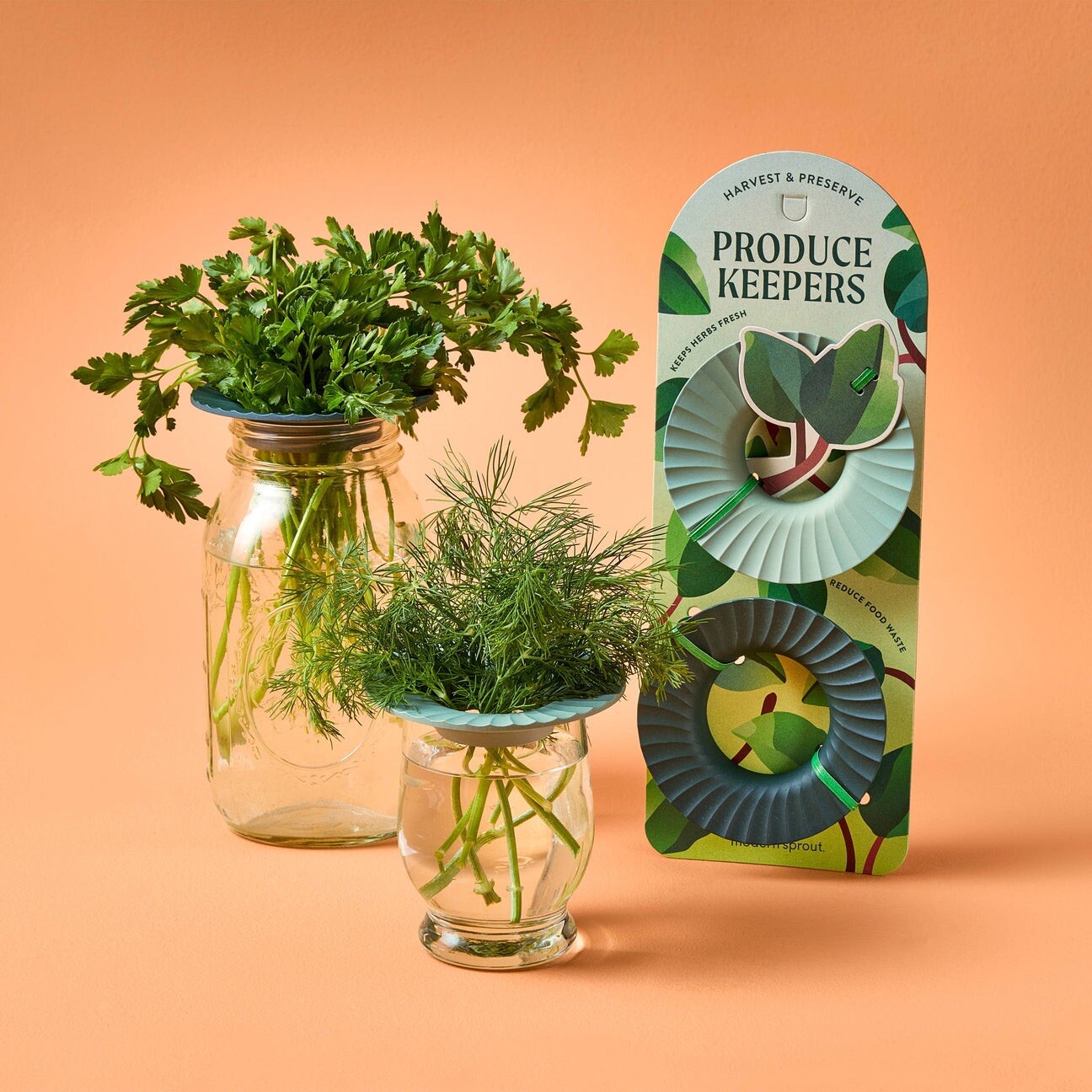 Modern Sprout/ Produce Keepers/ Set of 2